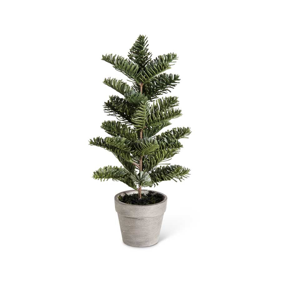 Jaden Pine Tree in Clay Pot (S)