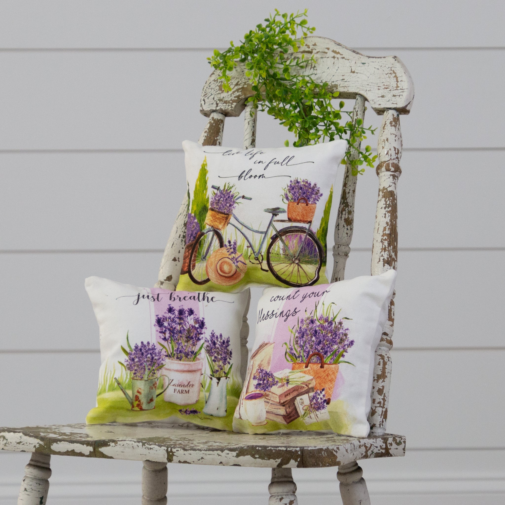 Mini Pillows - Lavender Count Your Blessings