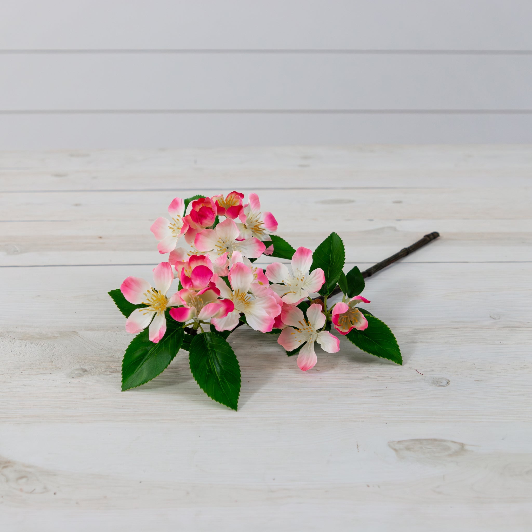 Spray - Cherry Blossom Pink