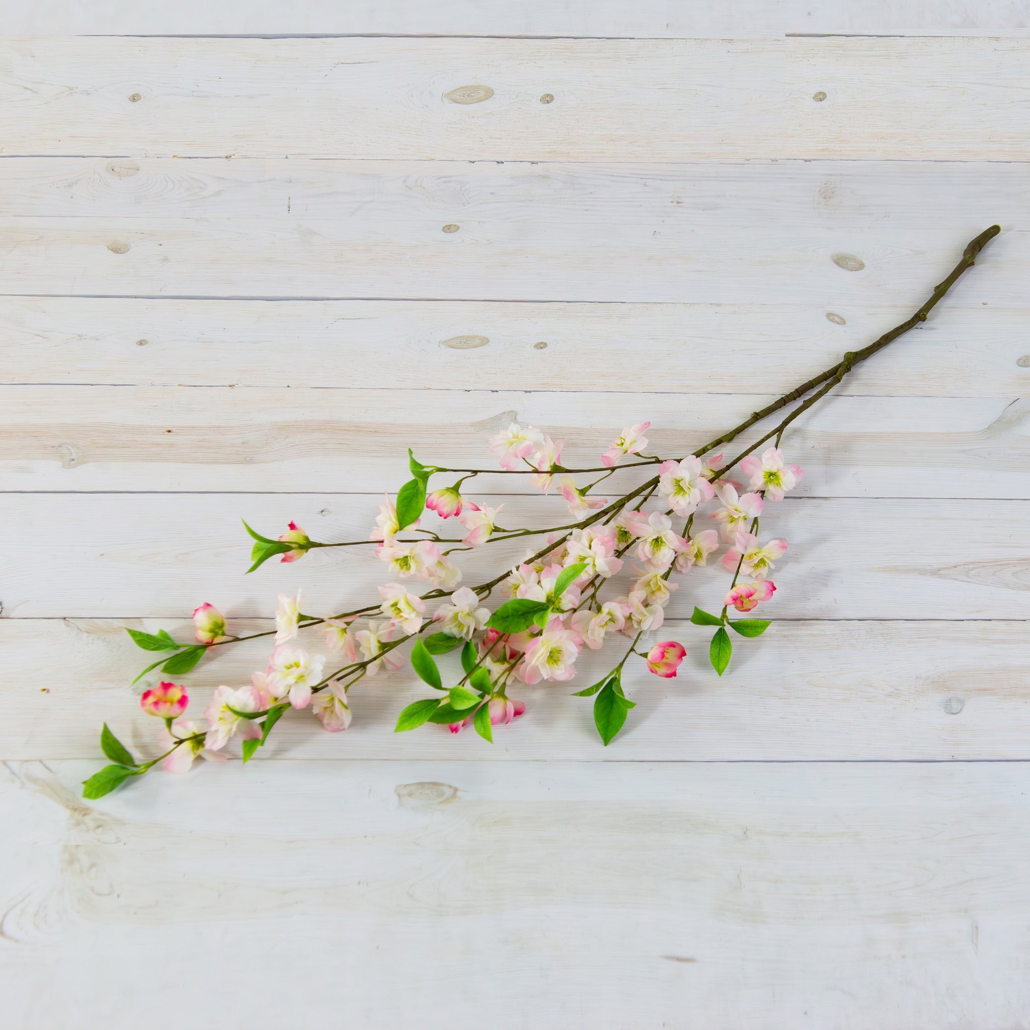 Branch - Cherry Blossom Pink