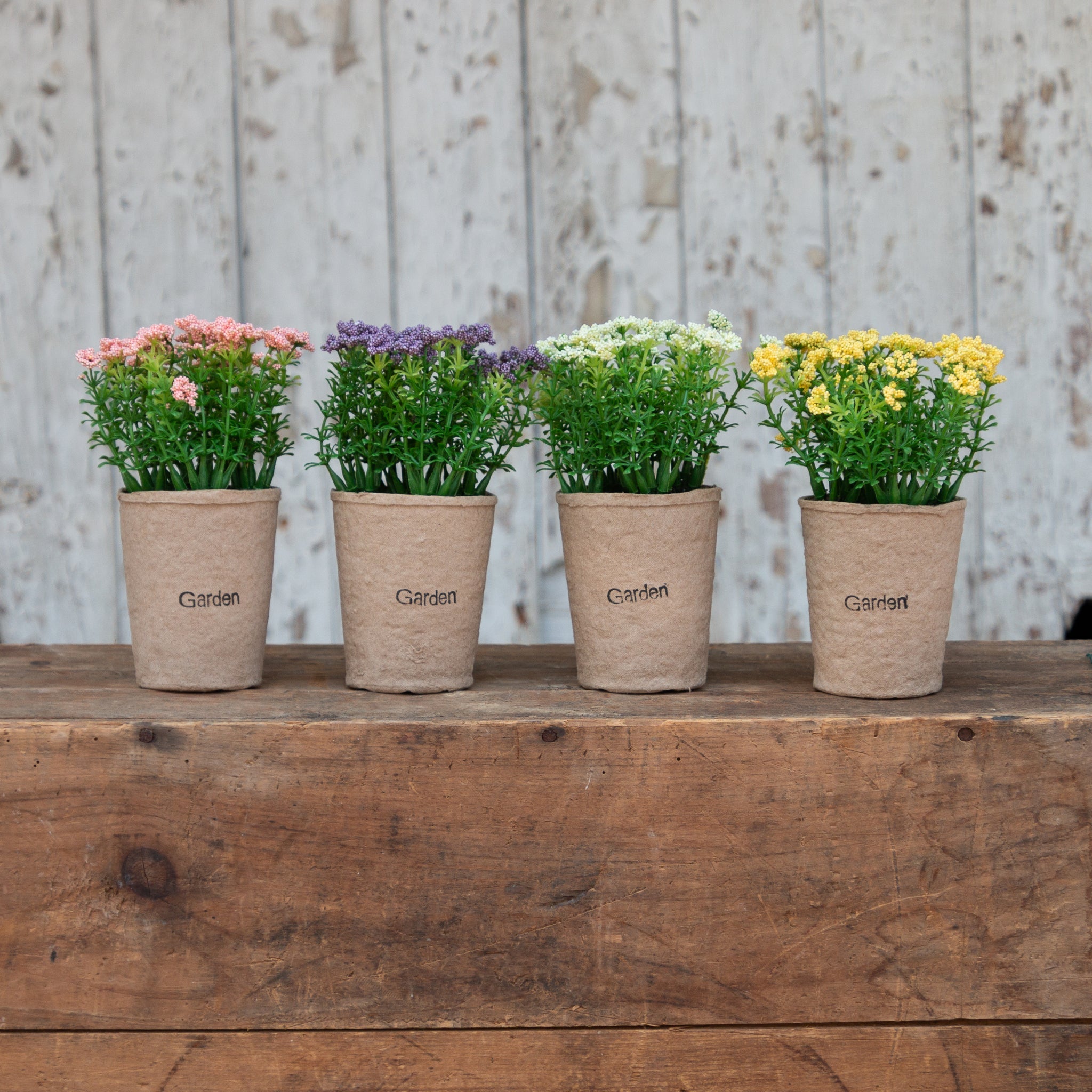 Mini Flowers in Paper Pots