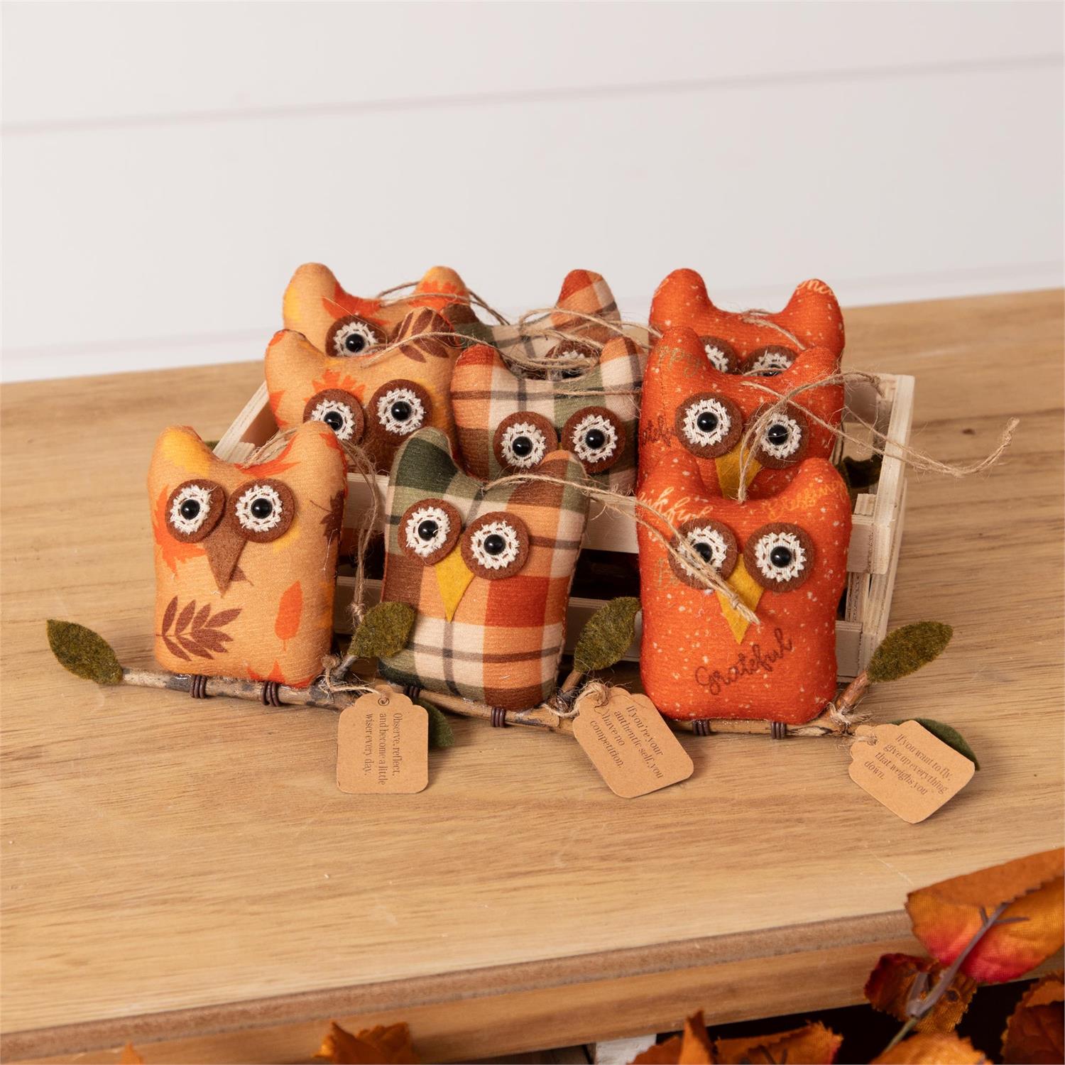Crate of 9 - Owls With Inspirational Tags
