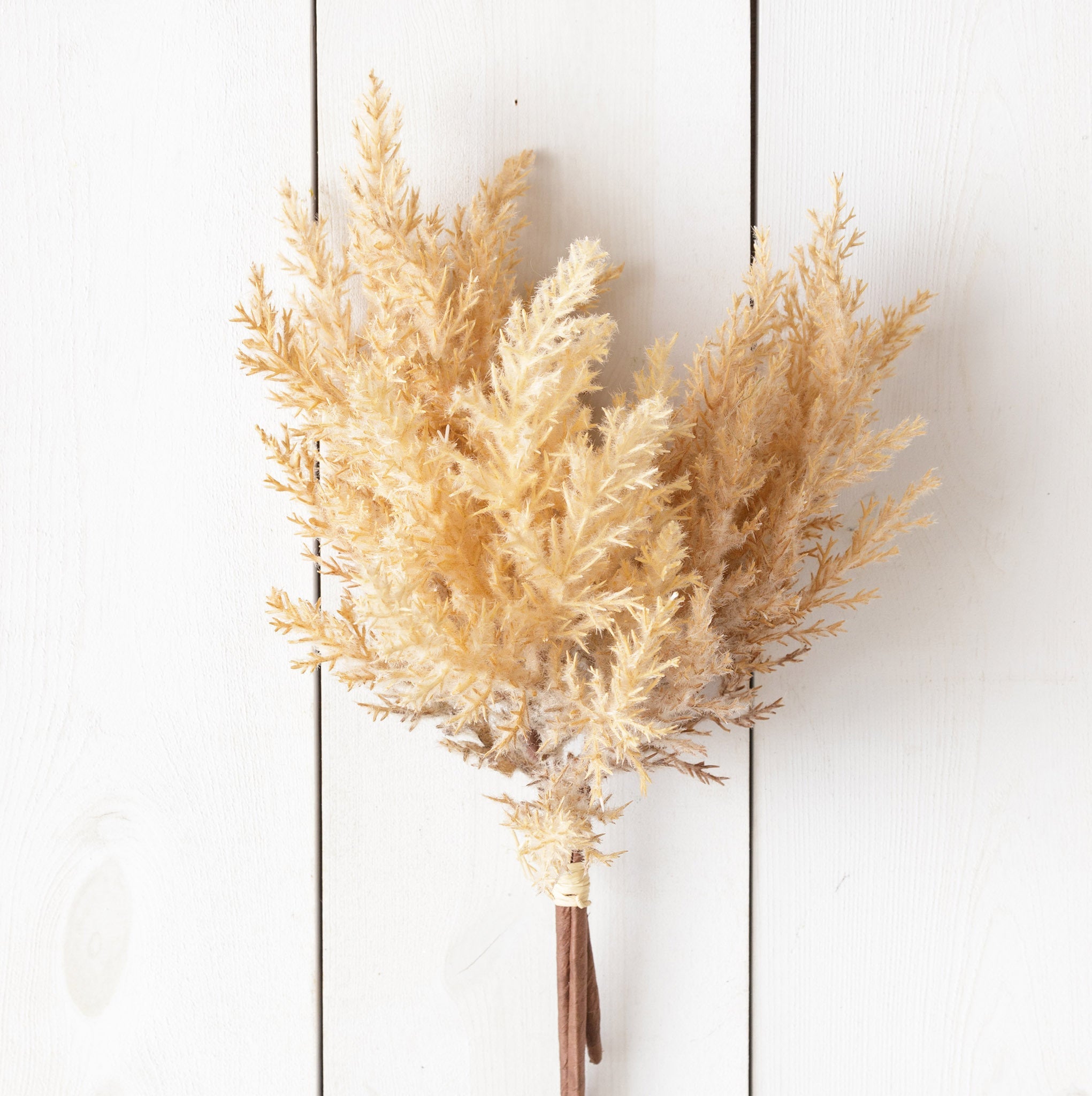 Beige Plumes Bunch (S/2)