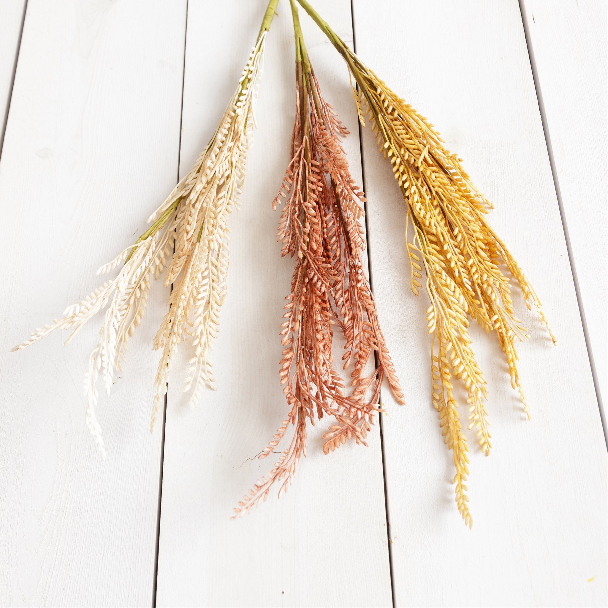 Fall Colored Oat Stems (S/3)