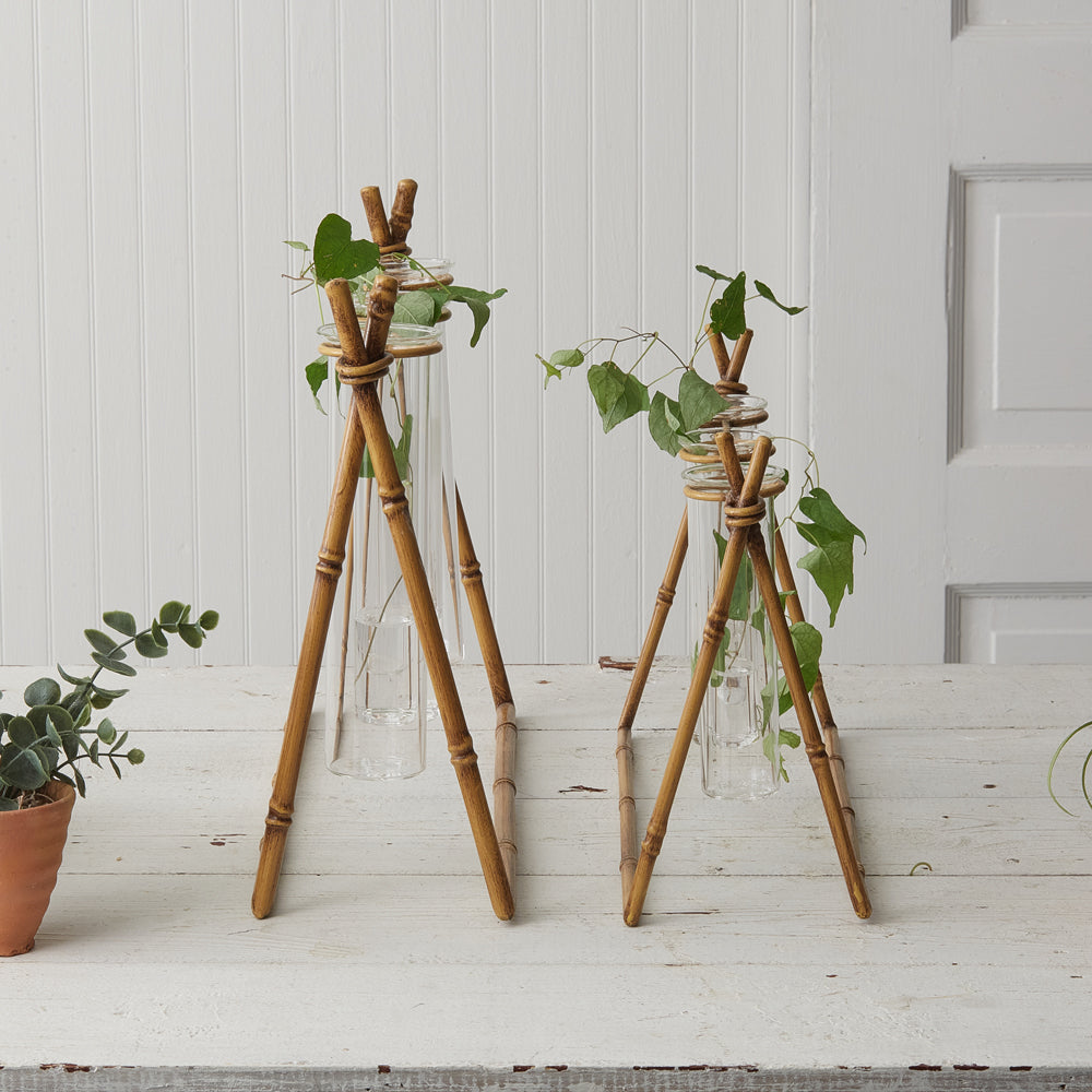 Bamboo Propagation Station