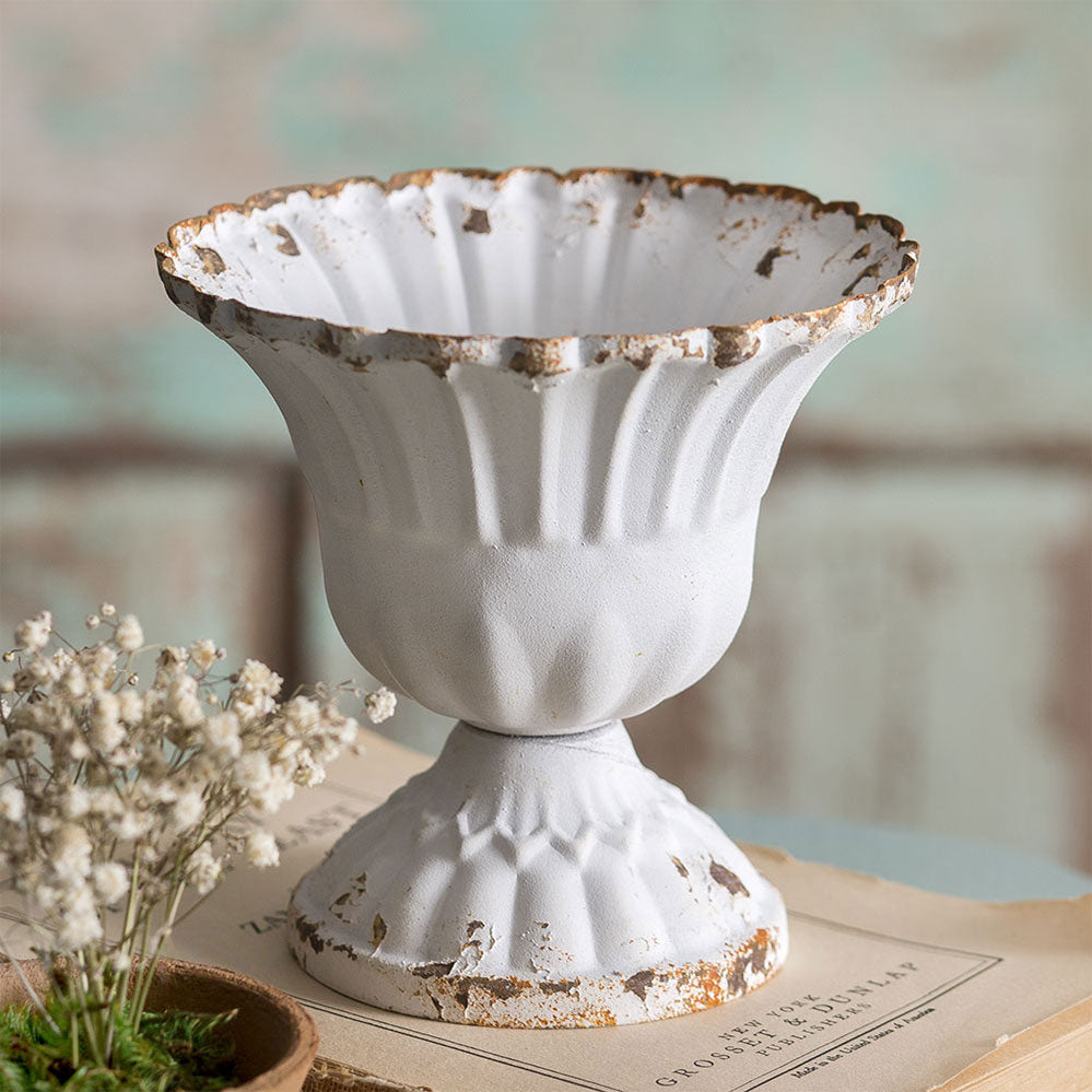 Medium Scalloped Cup (S/4)