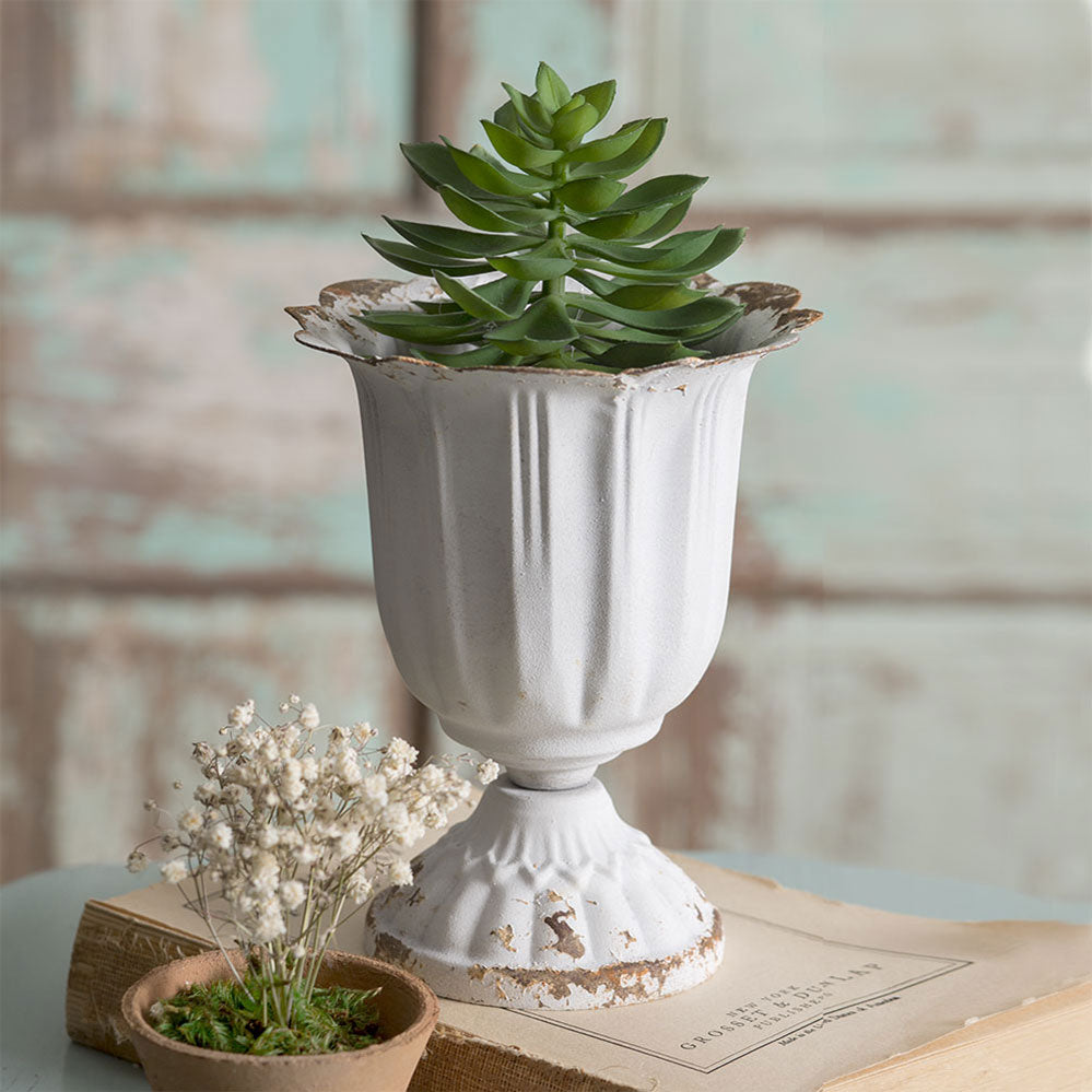Tall Scalloped Cup (S/4)