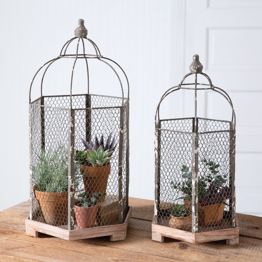 Birdcage Cloches (S/2)
