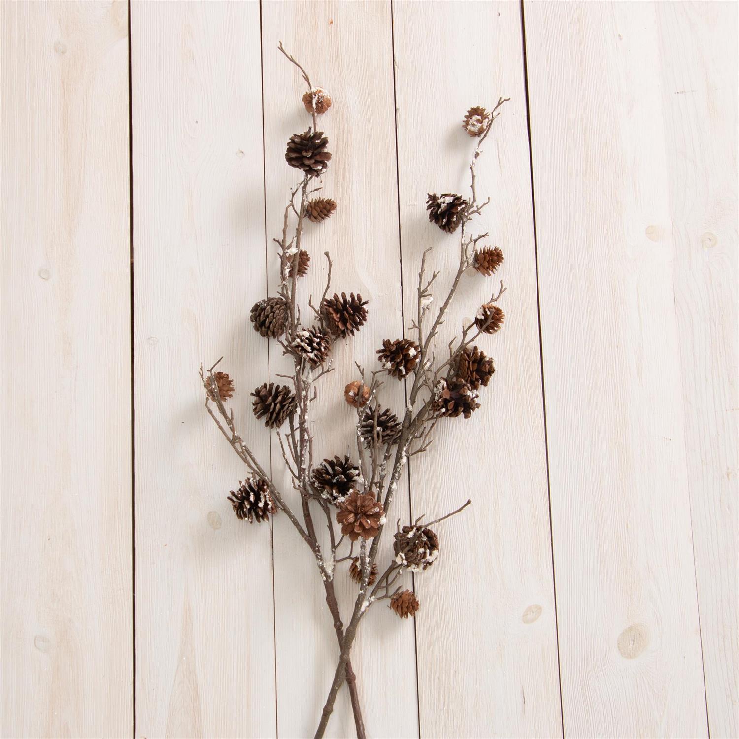 Pick - Snowy Pinecones