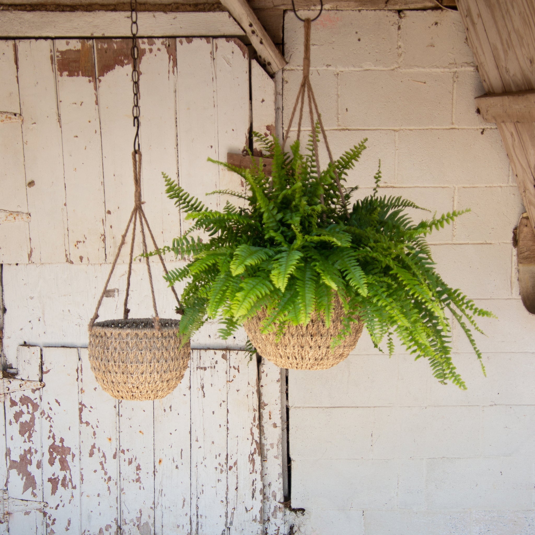 Hanging Seagrass Baskets (S/2)