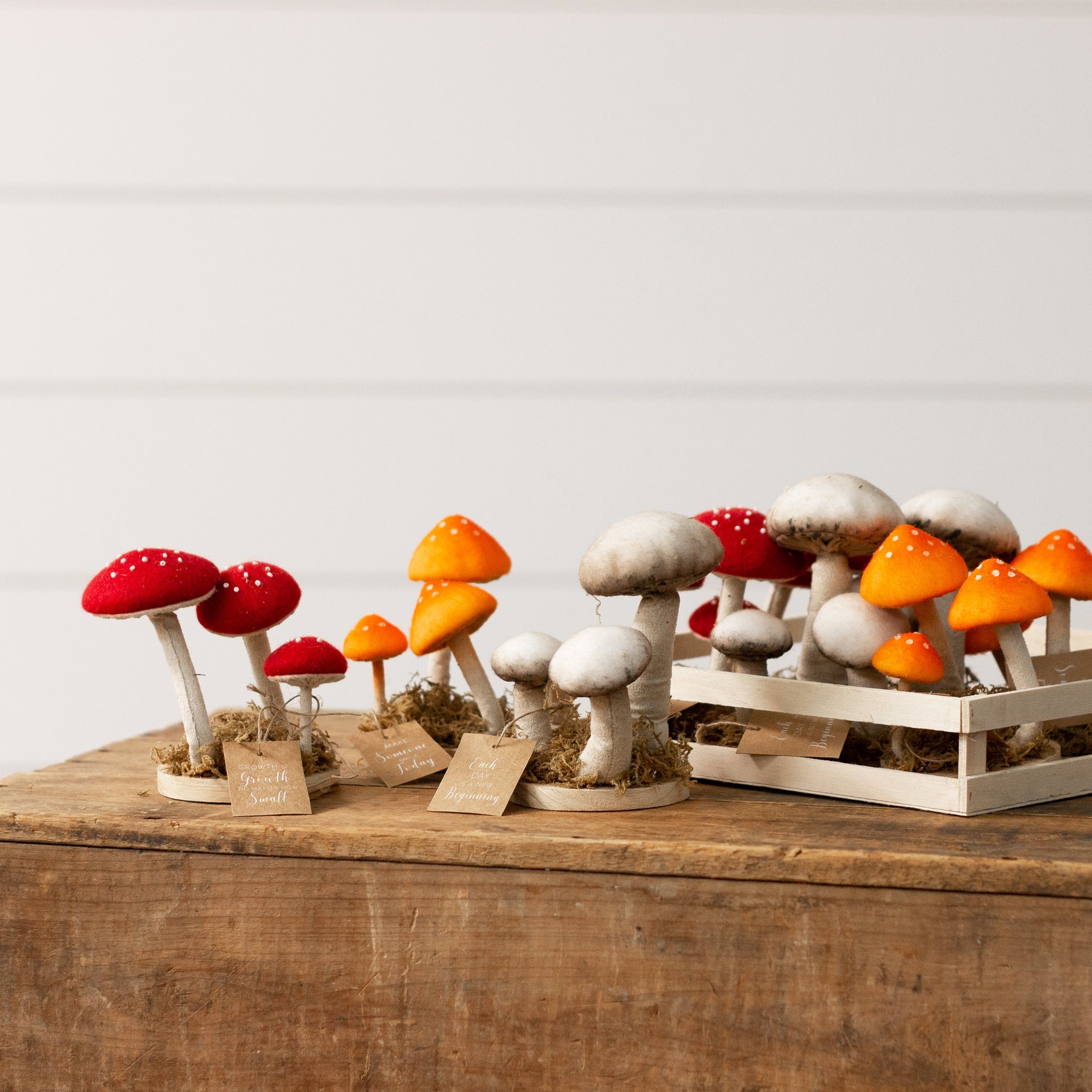 Mushroom Trio Soft Figures (S/9)