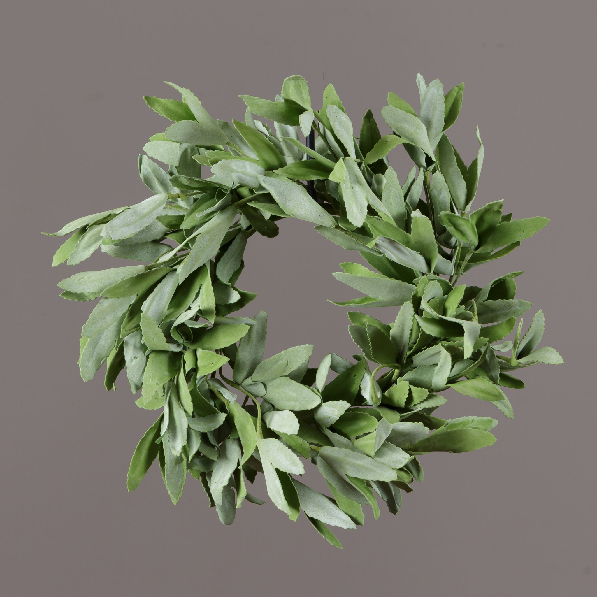 Herb Sage Candle Ring (S/2)