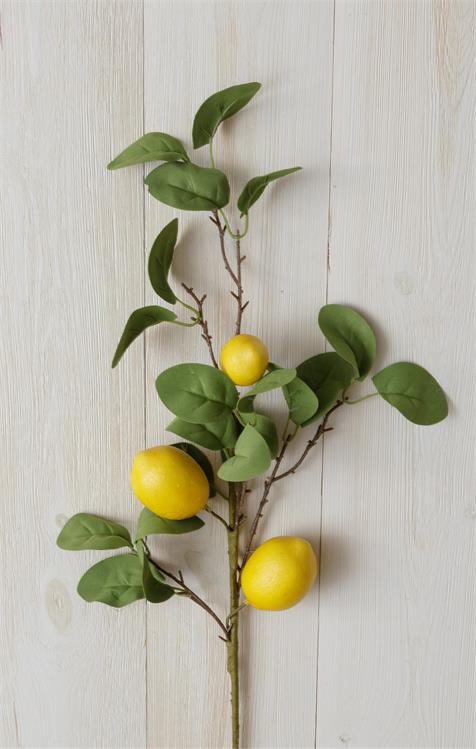 Floral Citrus Branch