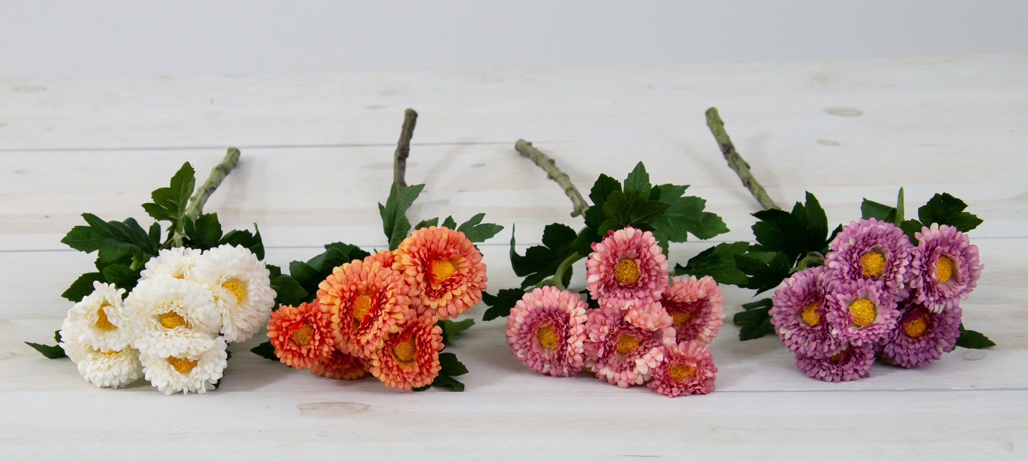 Pick - Chrysanthemum, Sorbet Colors