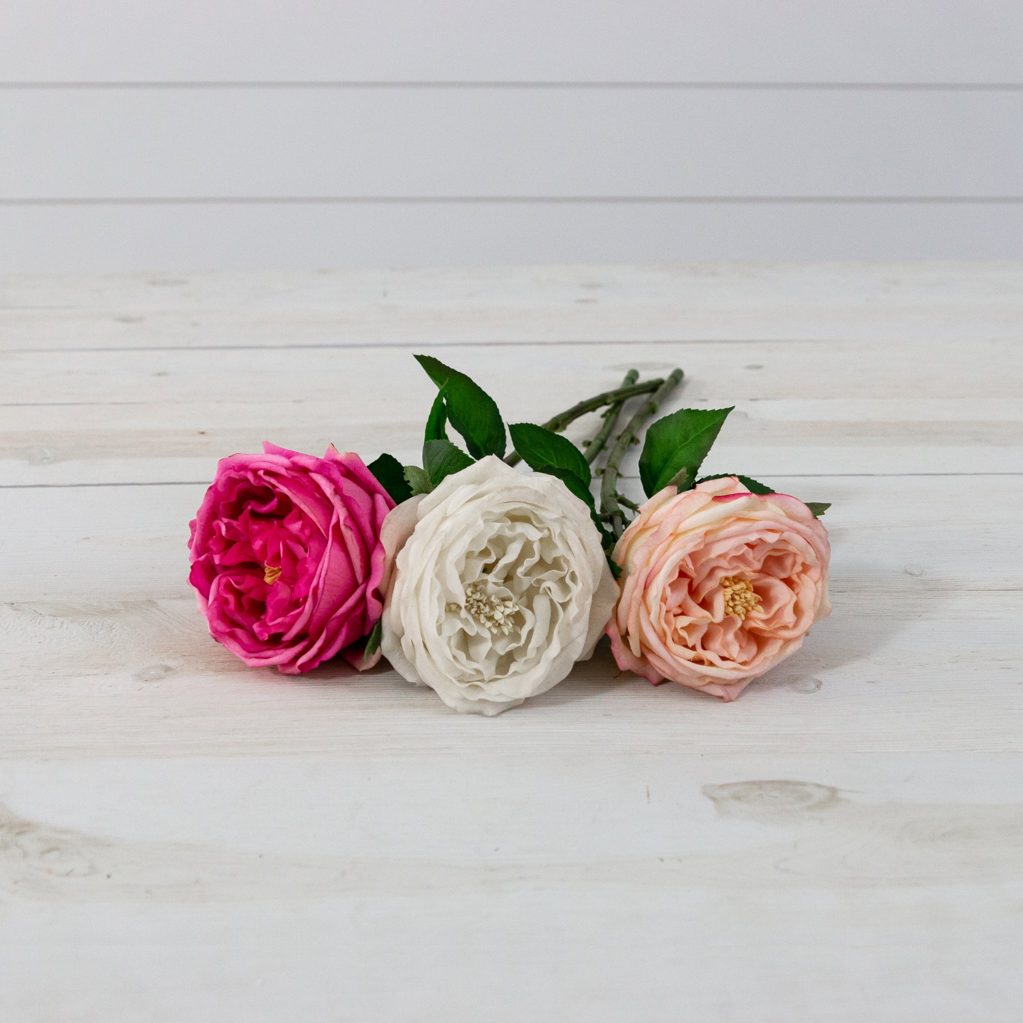 Pick - Real Feel Roses, Asstd Pinks