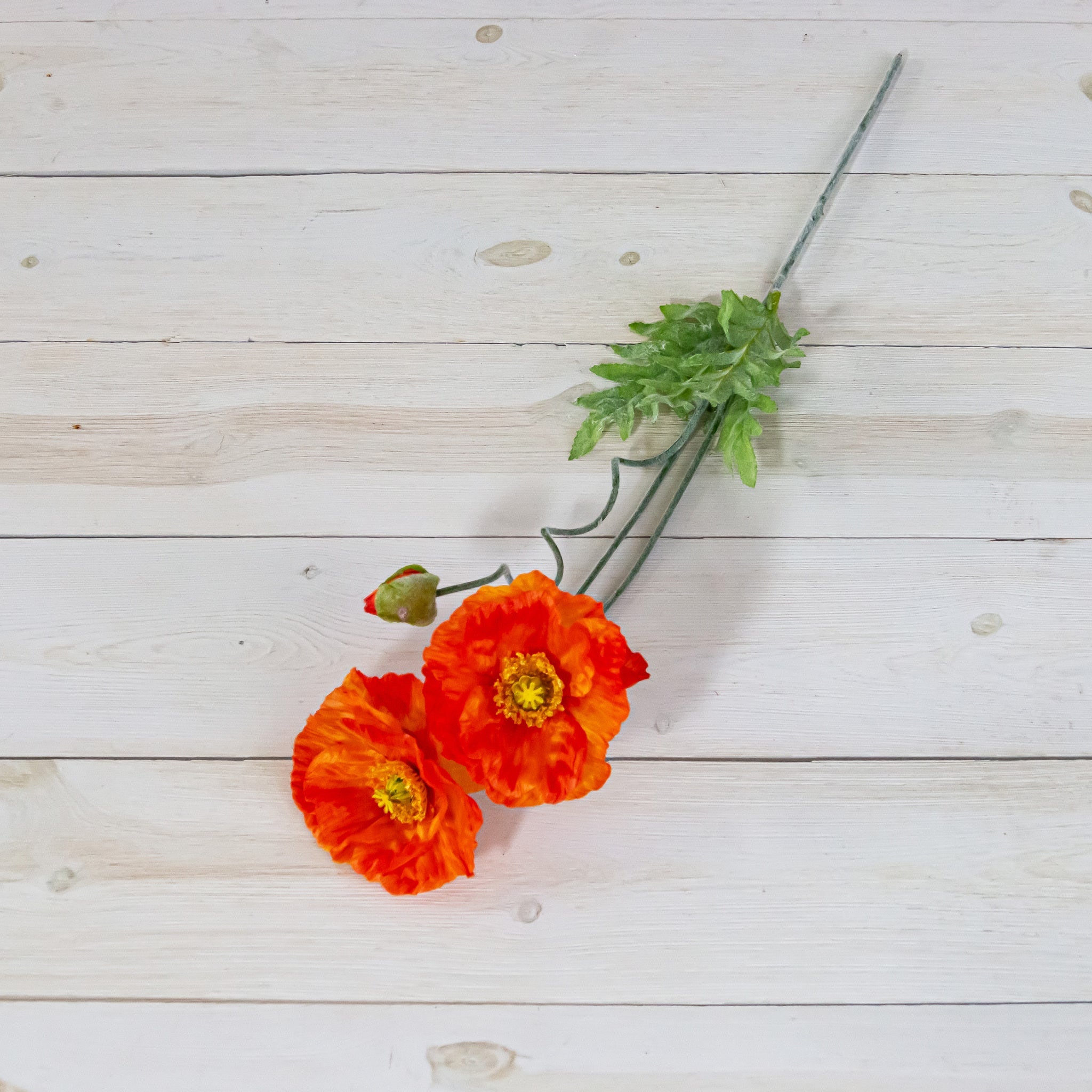 Stem - Poppy, Orange