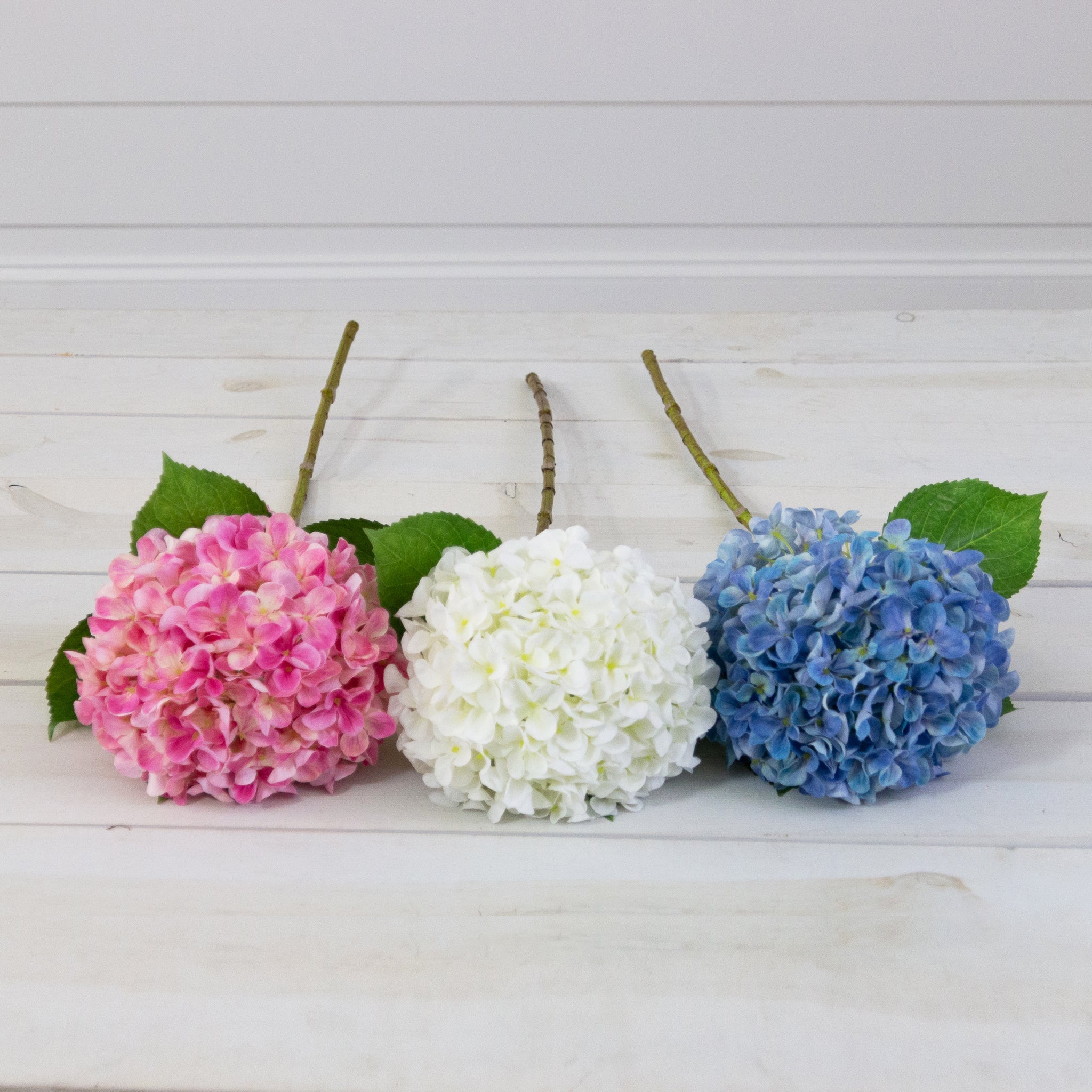Stem - Hydrangea, Pink, Blue, And White