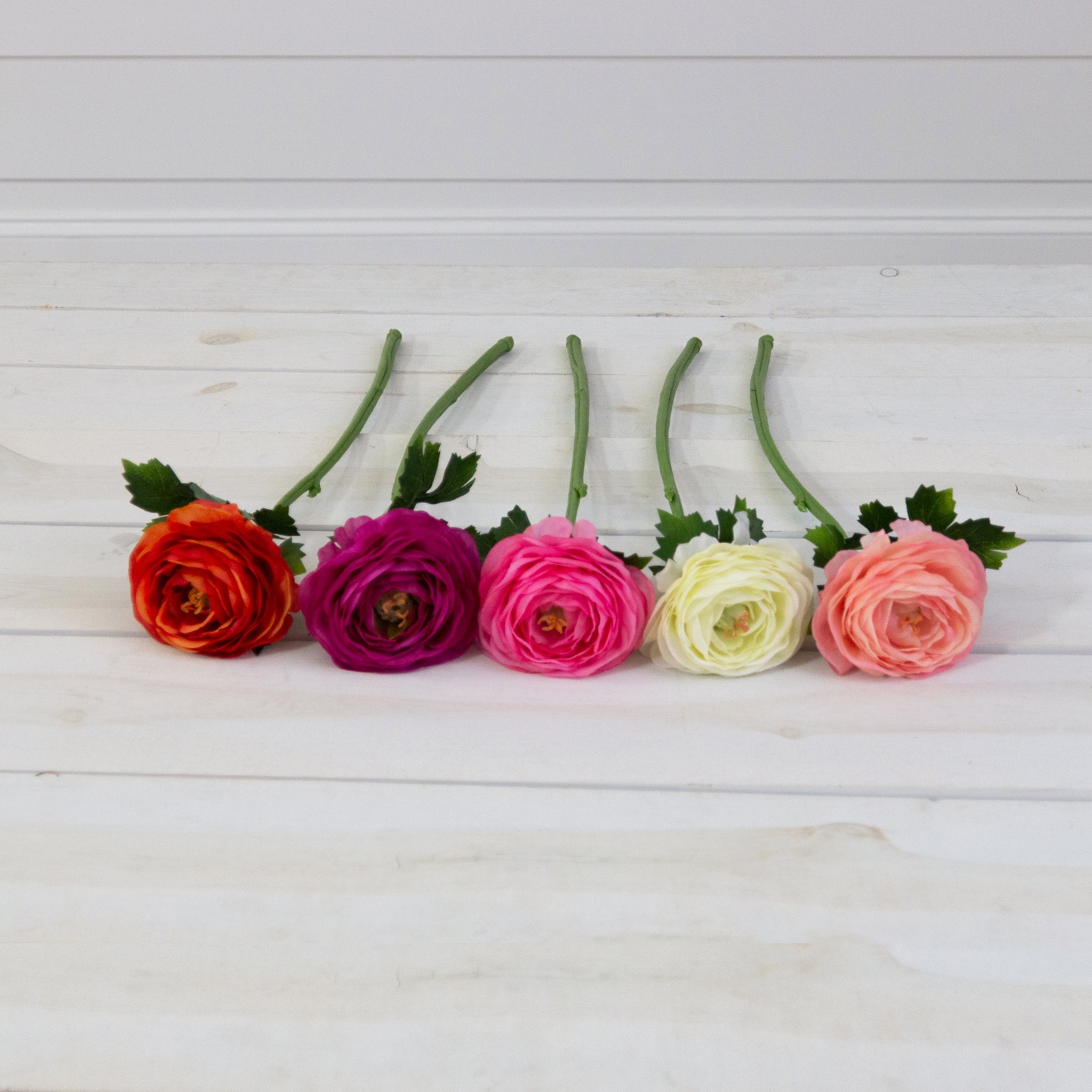 Pick - Ranunculus, Asstd Colors