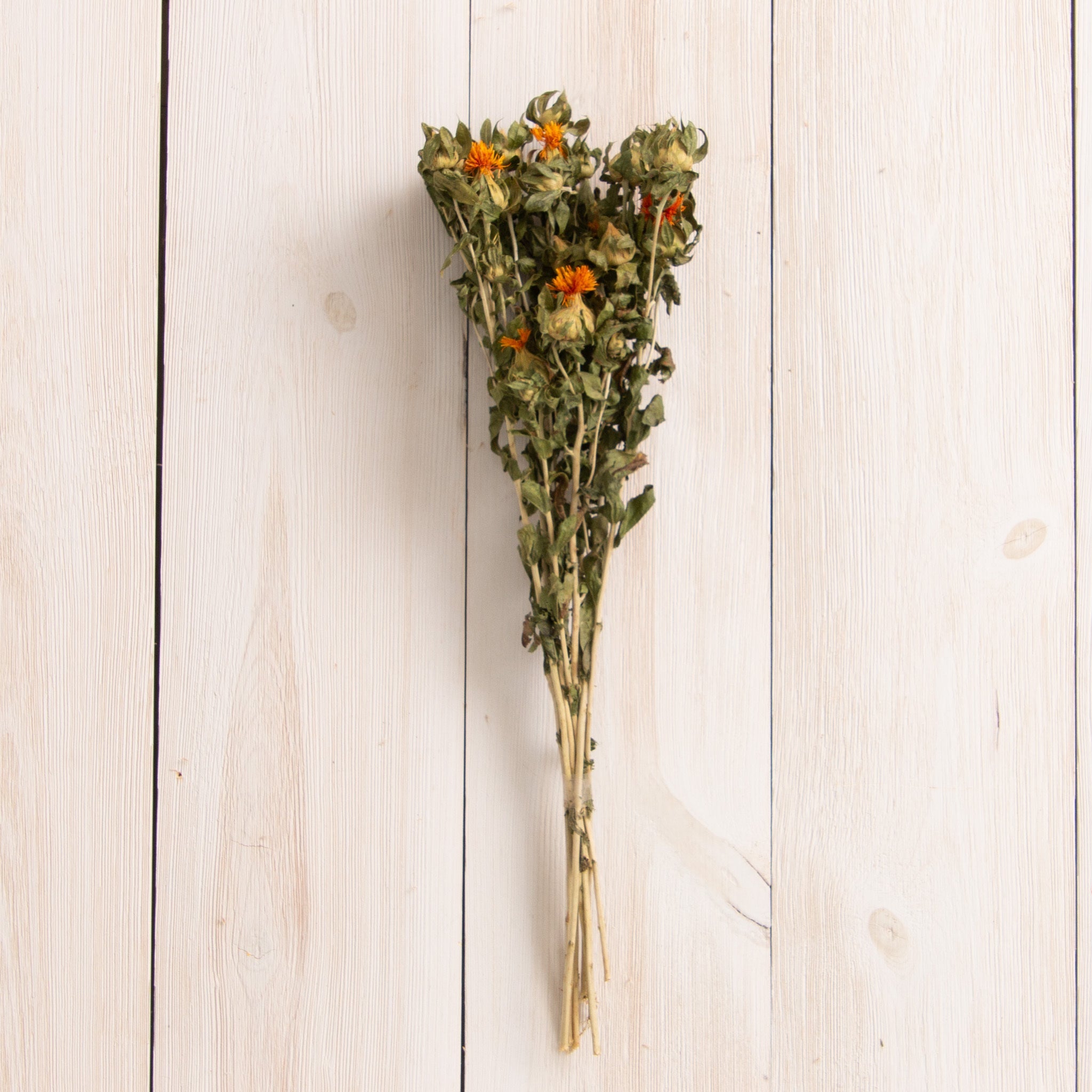 Dried Orange Carthemus Bundle