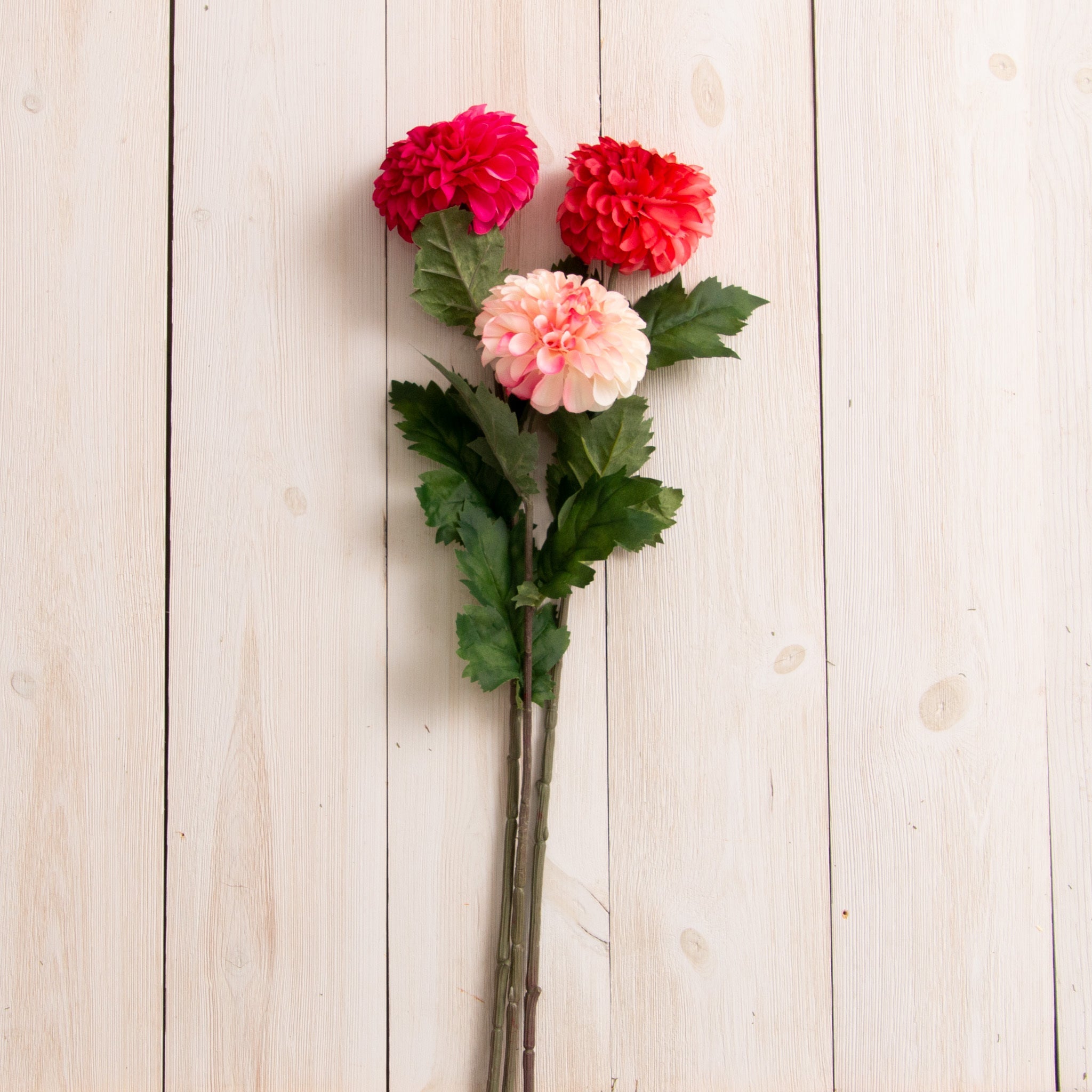 Stem - Dahlias, Asstd Pinks