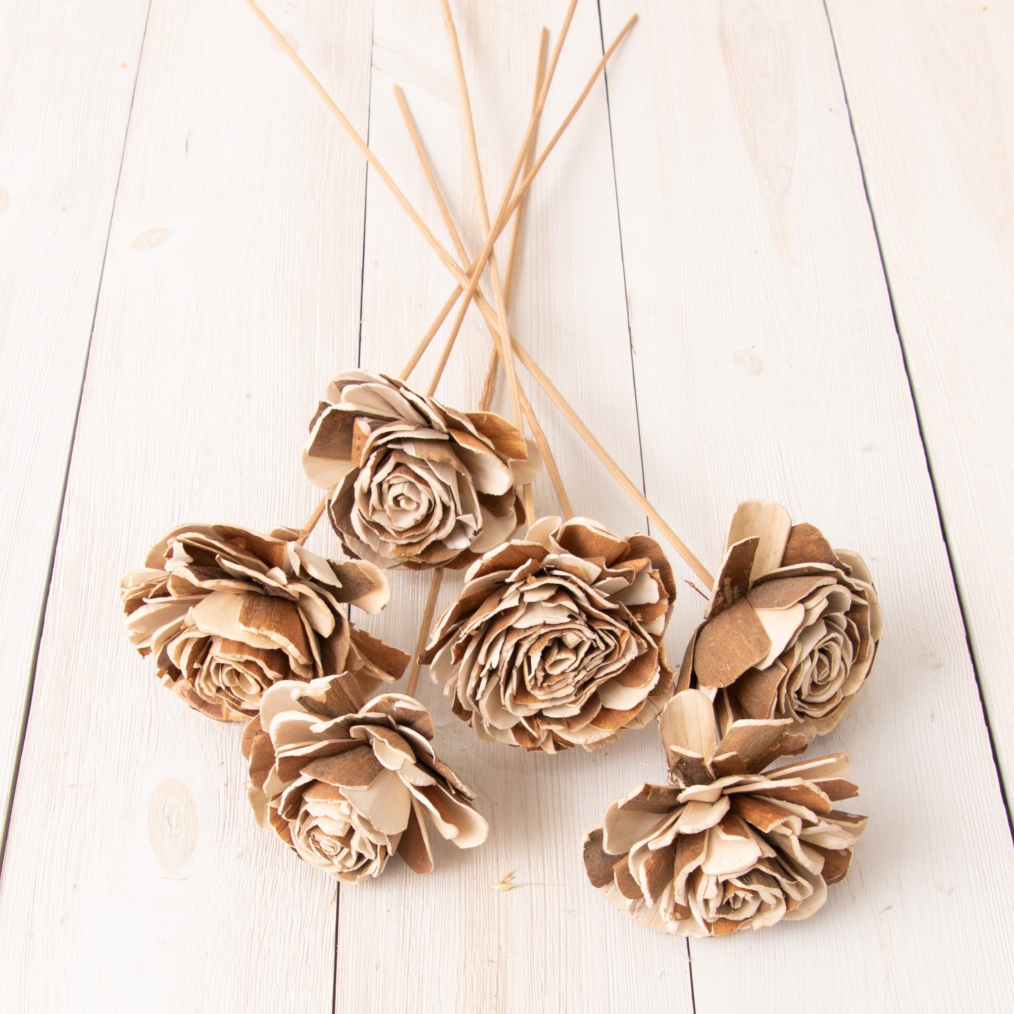 Dried Sola Skin Beauty Bunch