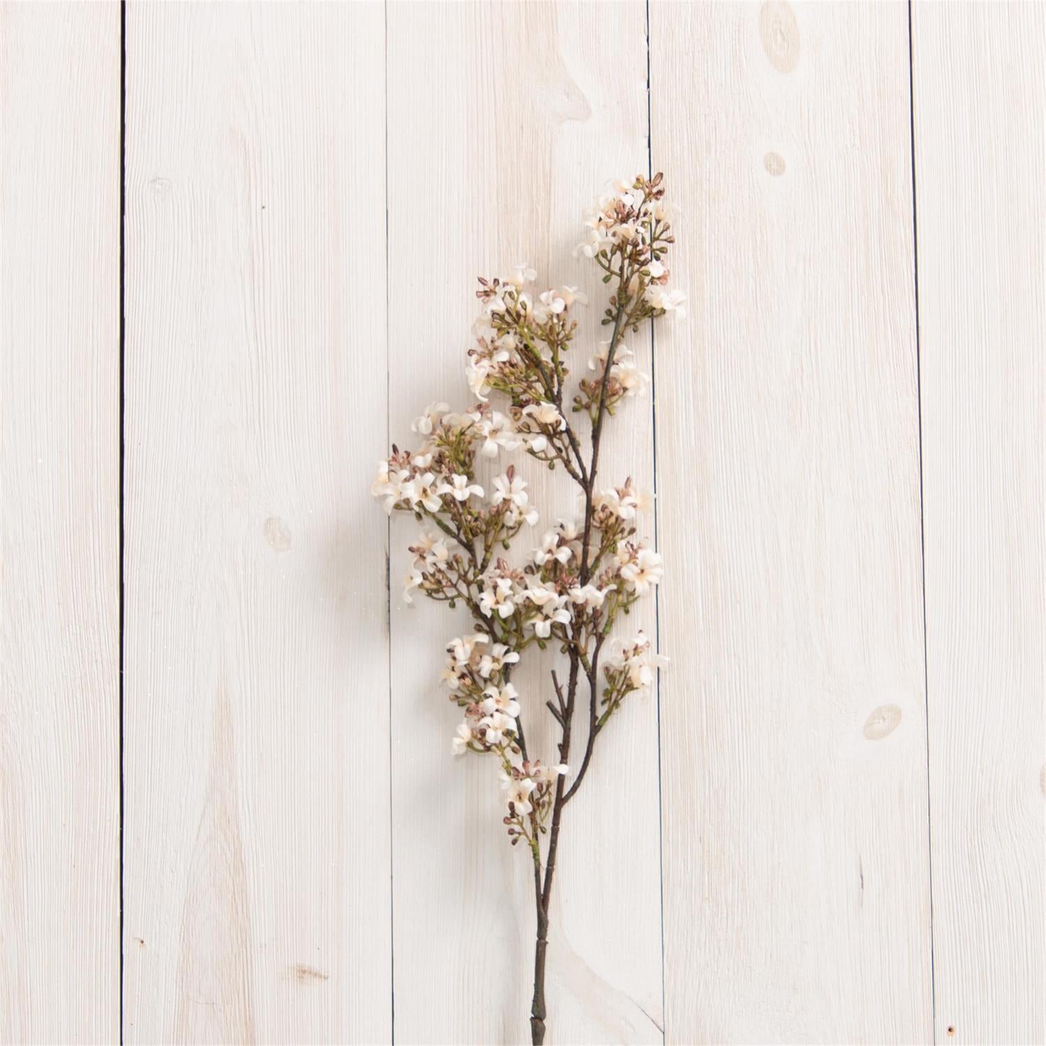 Branch - Okra Floral