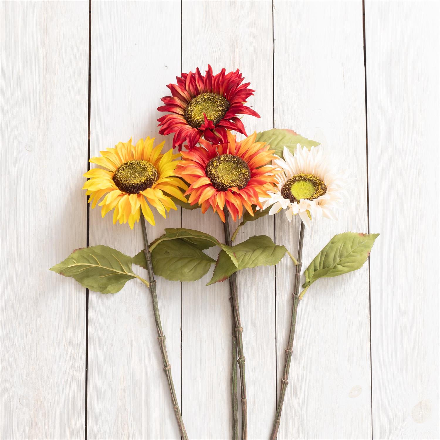 Stem - Sunflowers, Colorful Ablaze