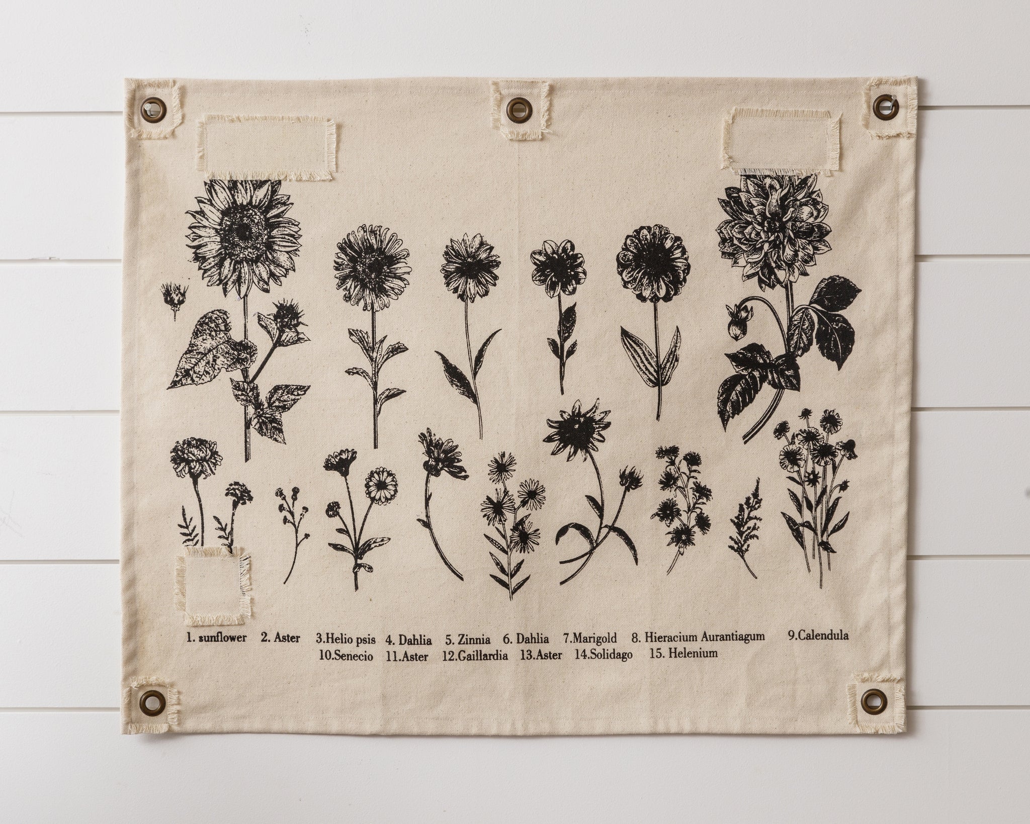 Black & White Botanical Wall Art