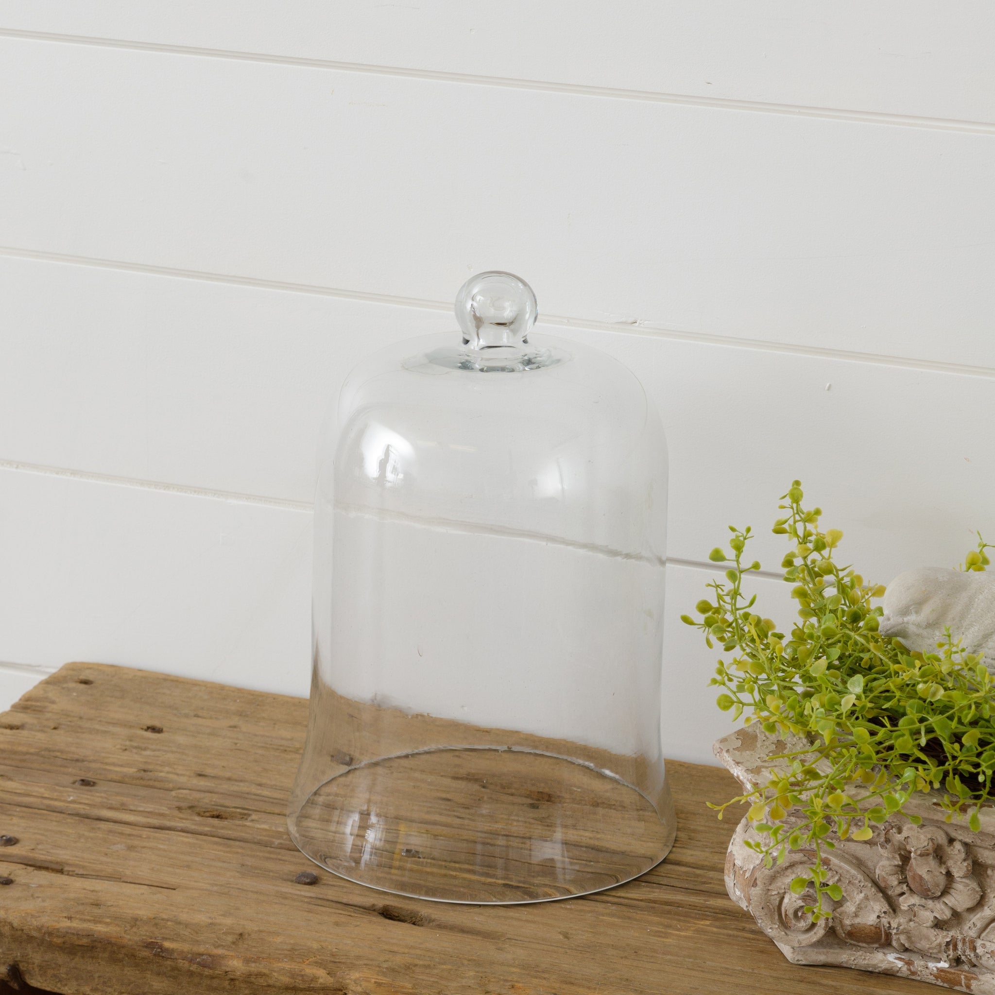 Glass Cloche (L)