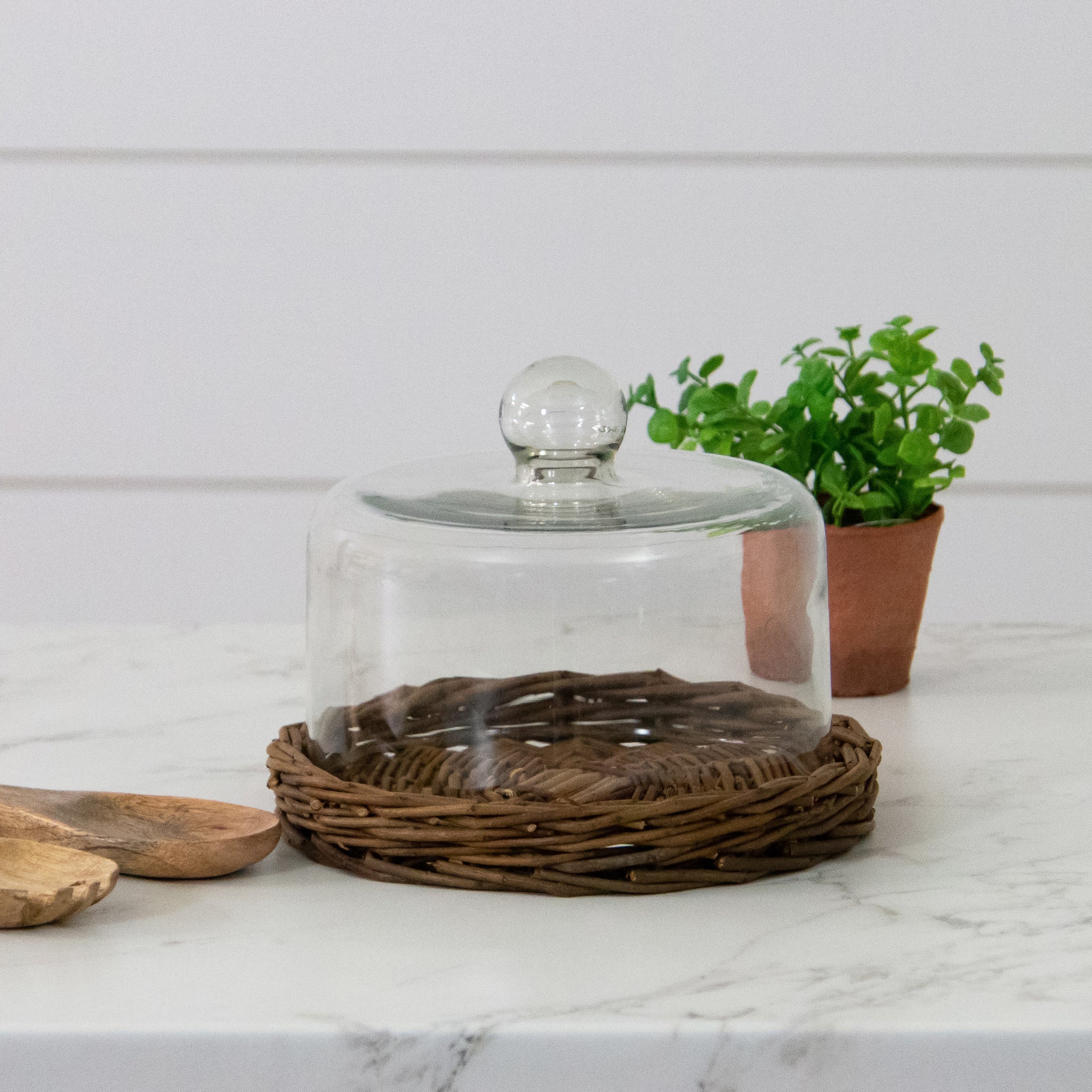 Glass Dome With Wicker Tray