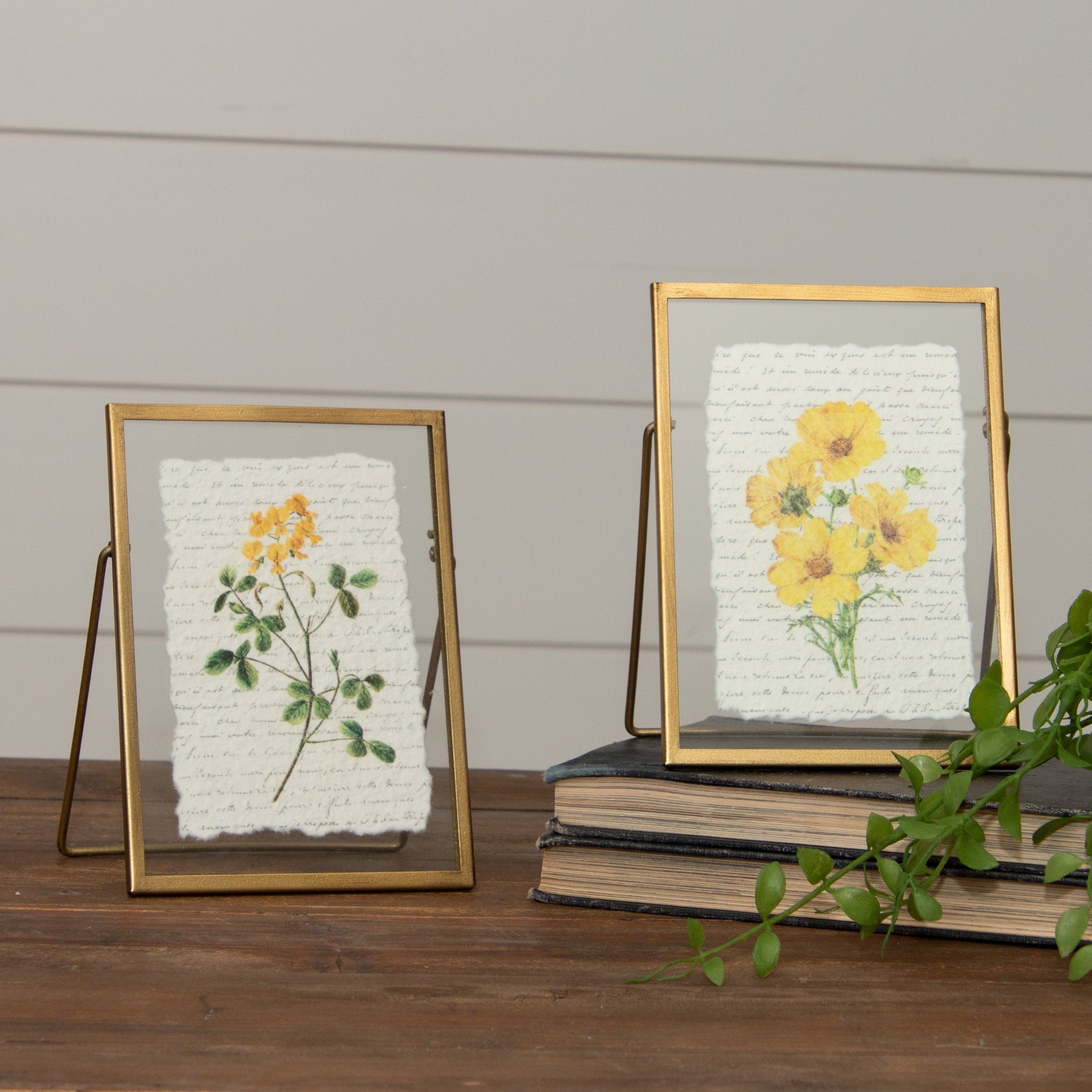 Gold Frames - Yellow Flowers