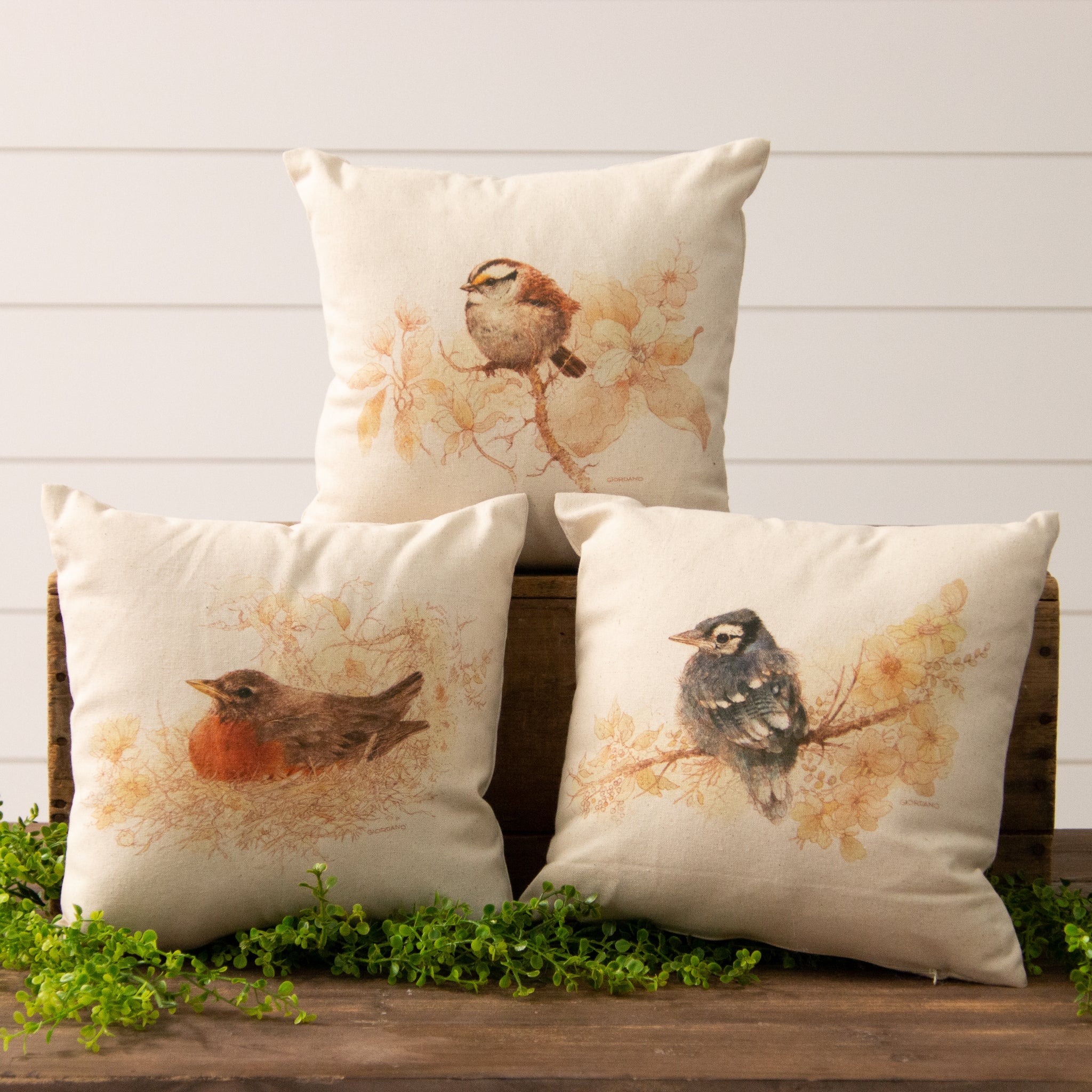Sepia Birds in Nests (S/3)