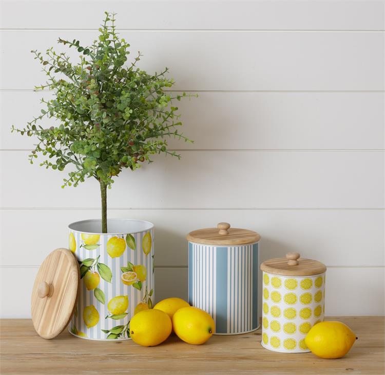 Citrus Stipes & Prints Canisters
