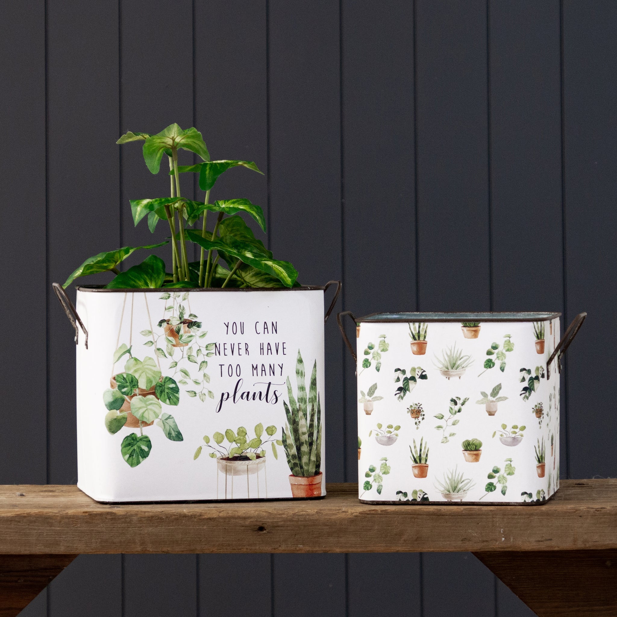 Containers - Never Too Many Plants