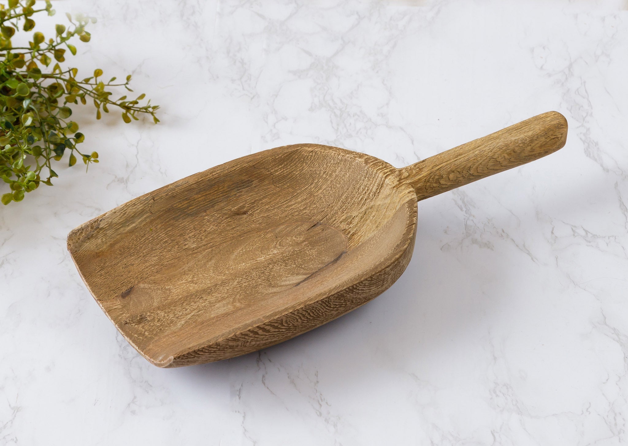 Raw Wood Scoop