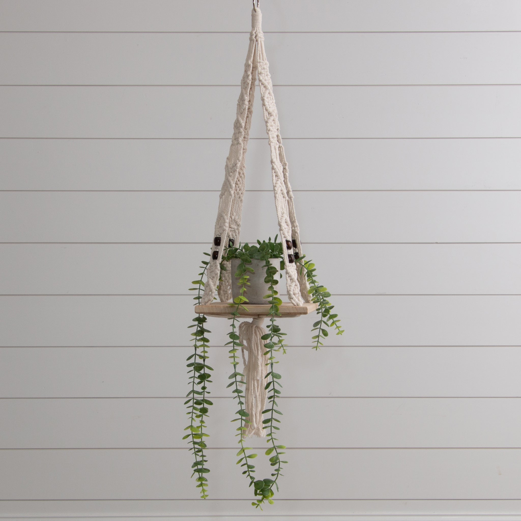 Macrame Plant Hanger