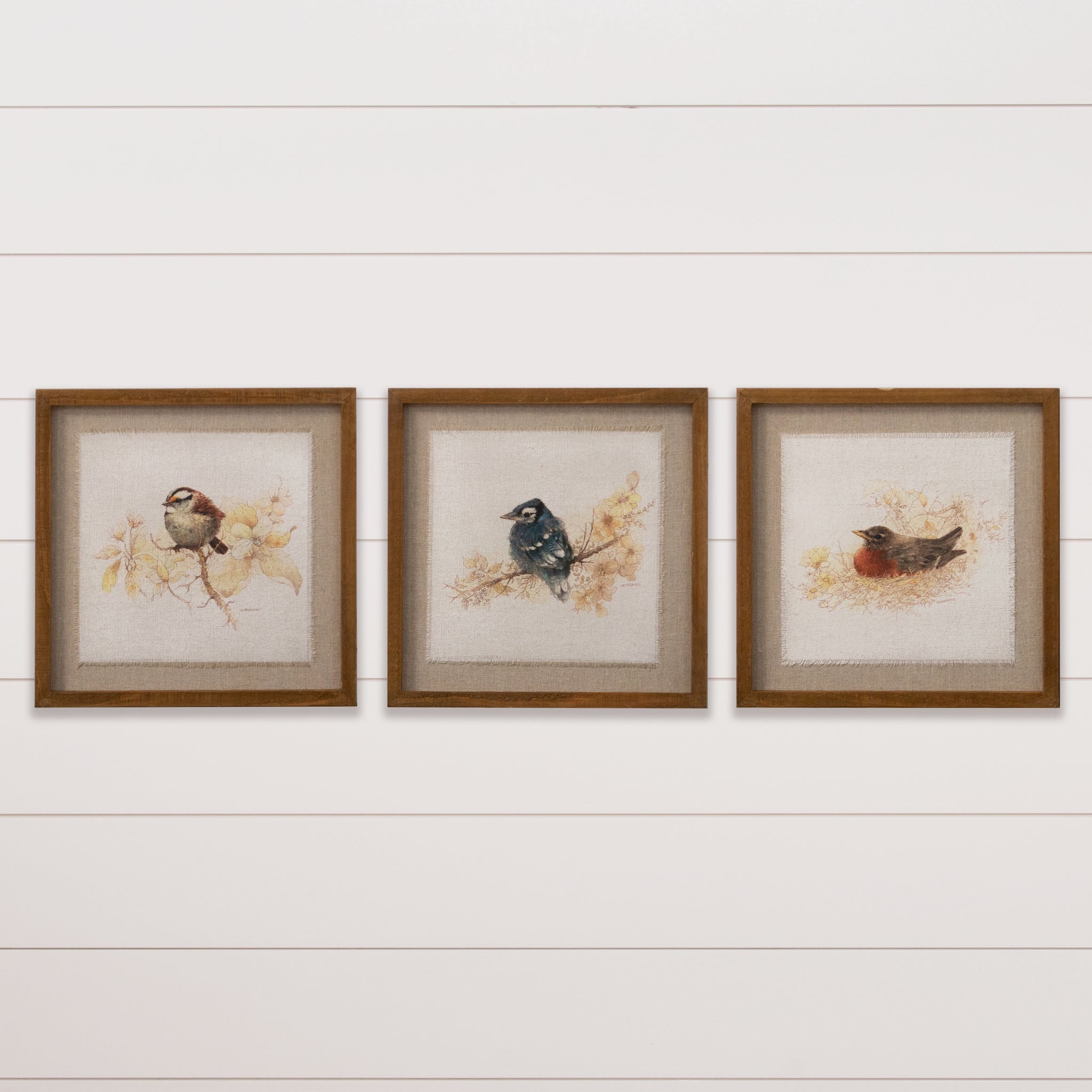 Framed Prints - Sepia Birds in Nests