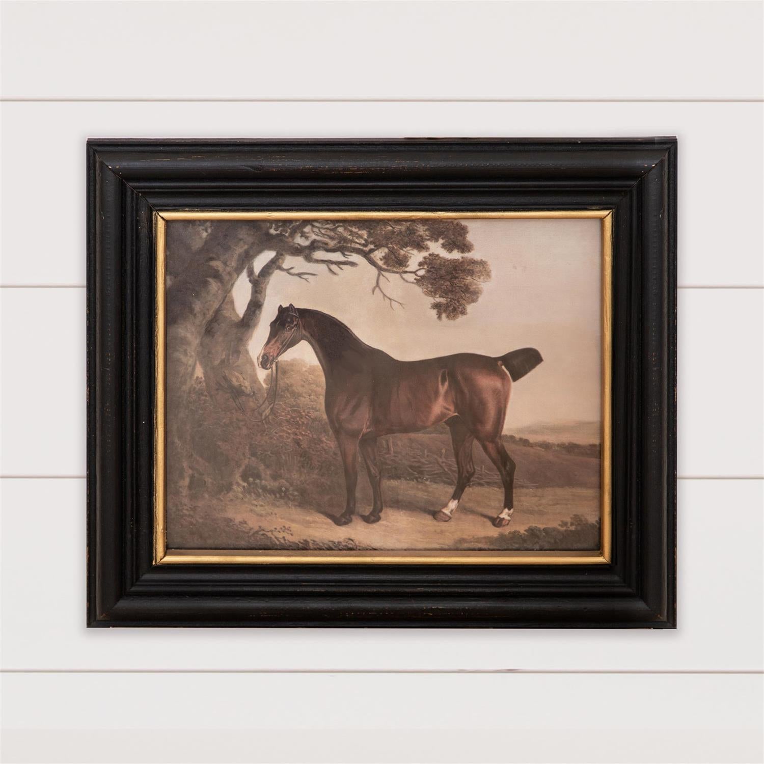 Framed Print - Horse