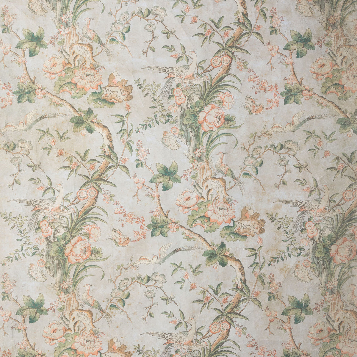 Blossom Vine Wallpaper