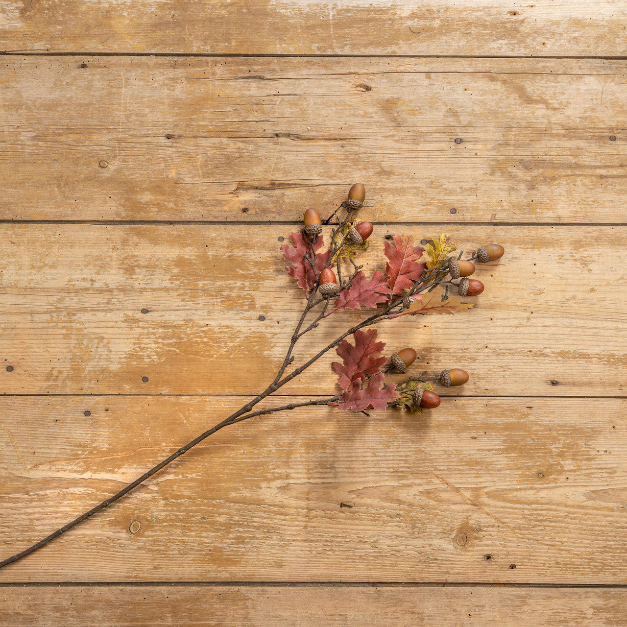 Leaf & Acorn Branch