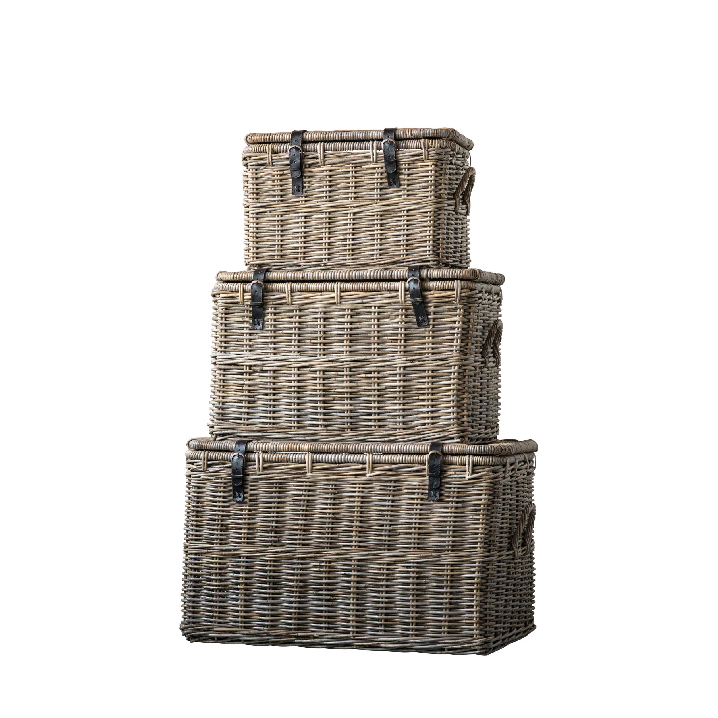Natural Rattan Trunks (Set of 3)